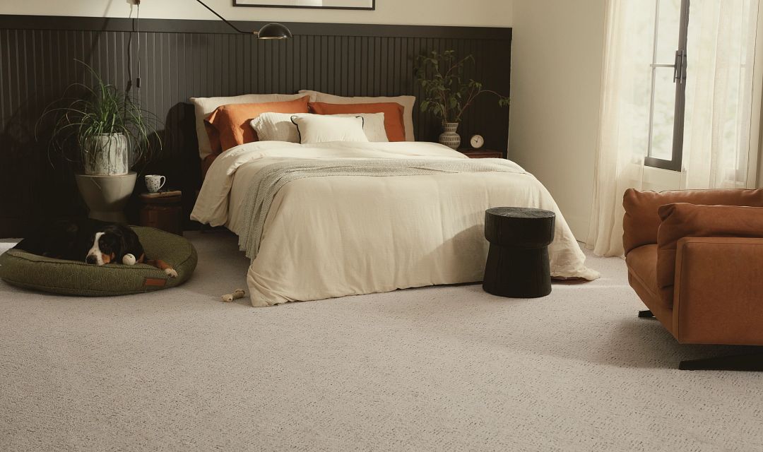 bedroom textured carpet in bedroom